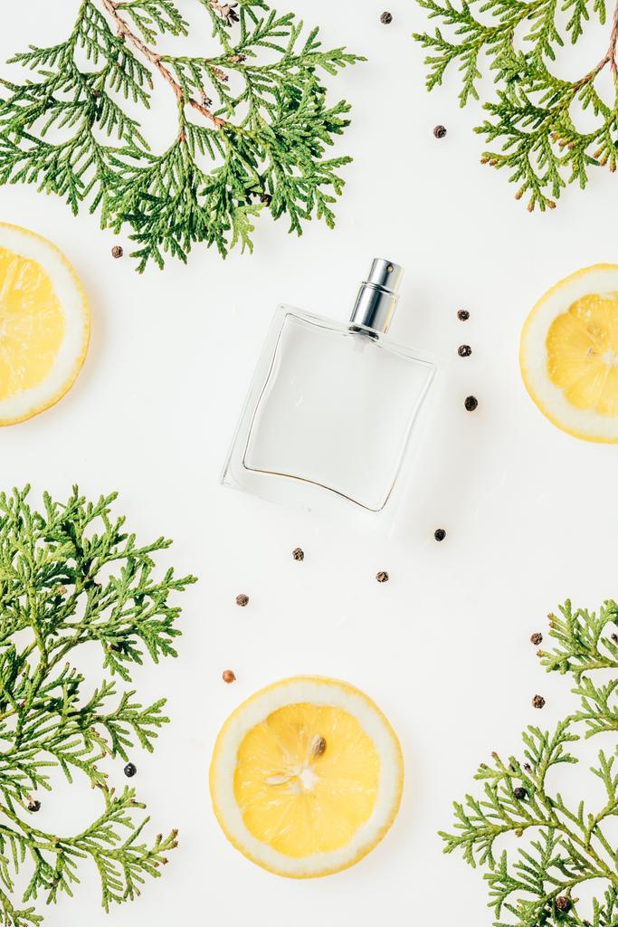 vista superior de la botella de perfume fresco con ramas verdes y rodajas de limón en la superficie blanca
 - Foto, Imagen
