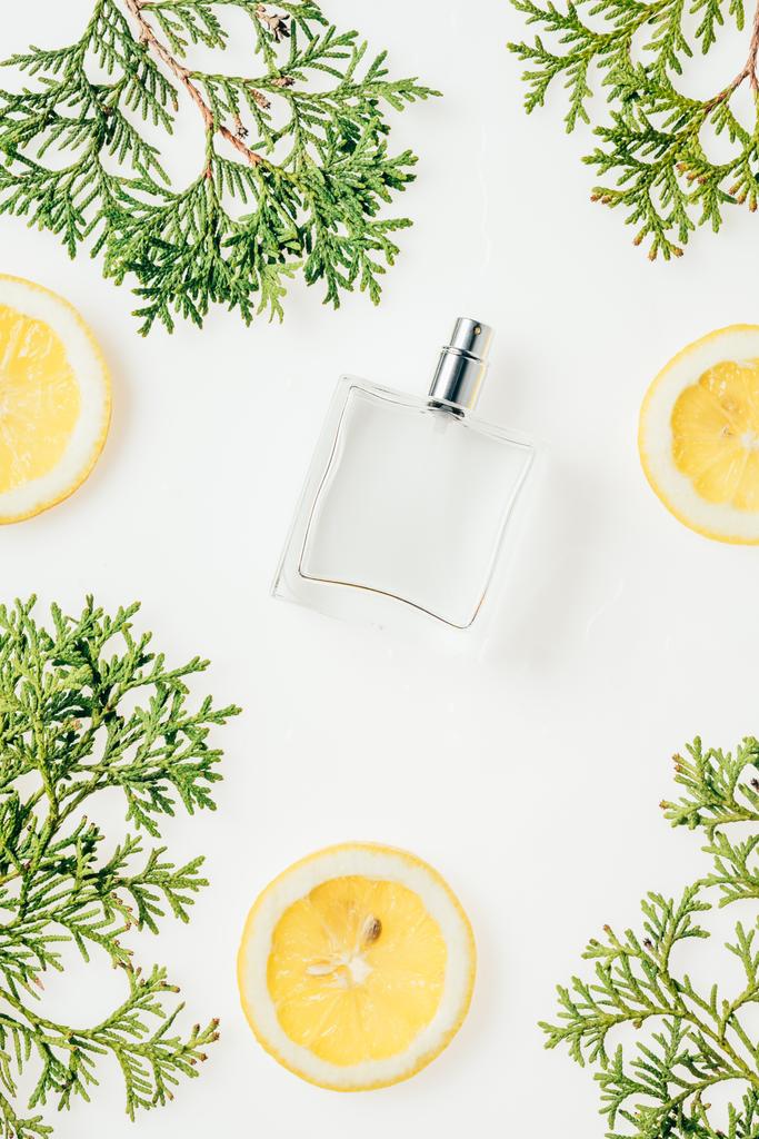 pohled shora Skleněná lahvička parfému s zelené větve a plátky citronu na bílém stole - Fotografie, Obrázek