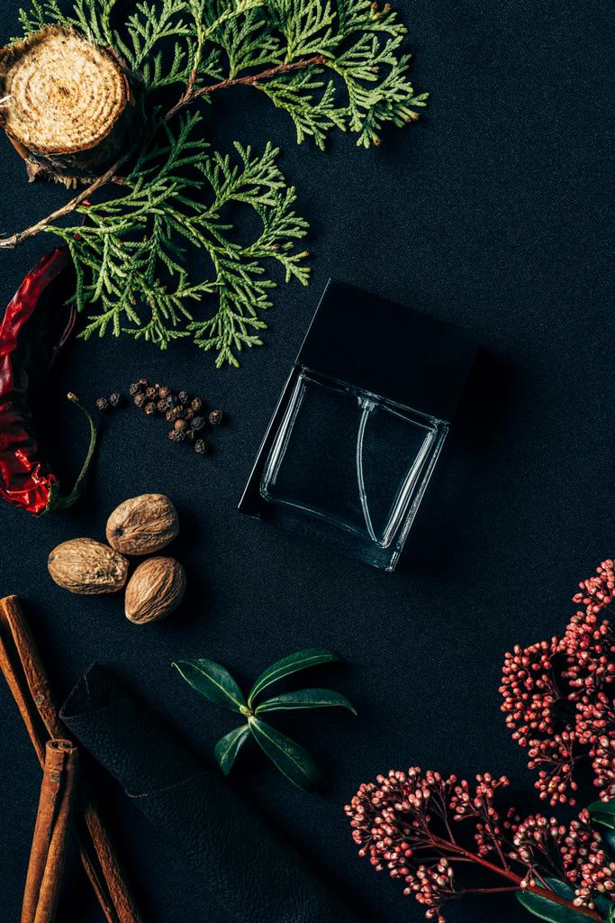 Widok z góry butelki perfum z aromatycznych przypraw i świerkowych gałęzi na czarny - Zdjęcie, obraz