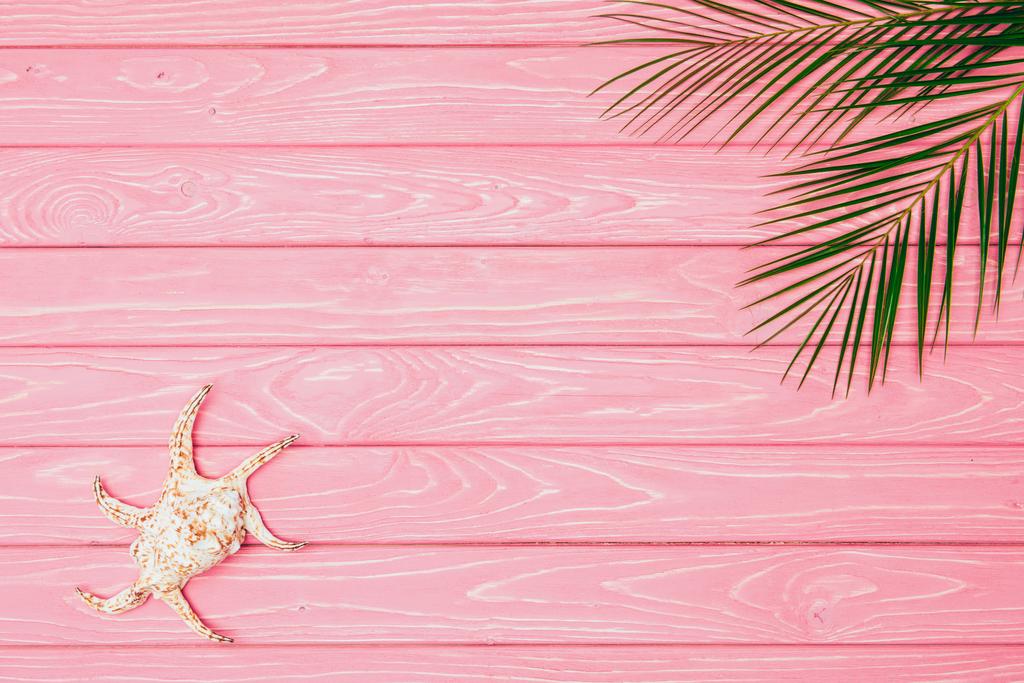 top view of seashell with palm leaves on pink wooden surface - Photo, Image
