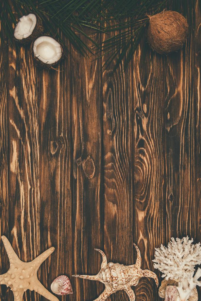 vue de dessus des coquillages avec des noix de coco et des feuilles de palmier sur la surface en bois
 - Photo, image