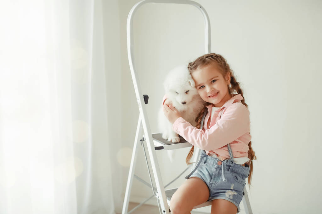 dívka s roztomilé štěně na žebříku vystupují ve studiu  - Fotografie, Obrázek