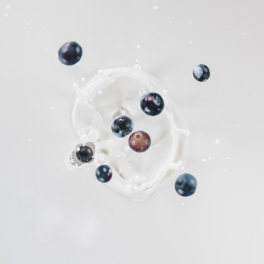 Raw blueberries splashing into milk on white background - Photo, Image