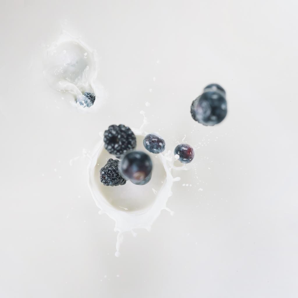 白い背景の上のミルクにしぶき生ブルーベリー - 写真・画像
