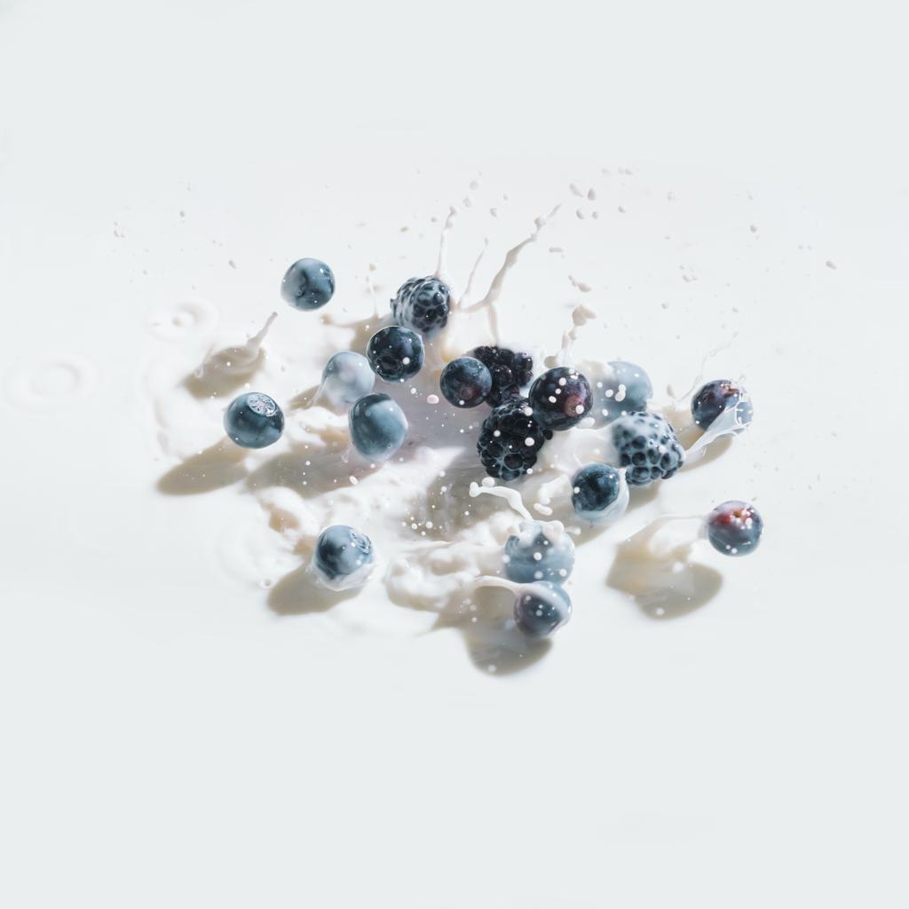 Сирі ягоди, що падають у молоко з бризками на білому тлі
 - Фото, зображення