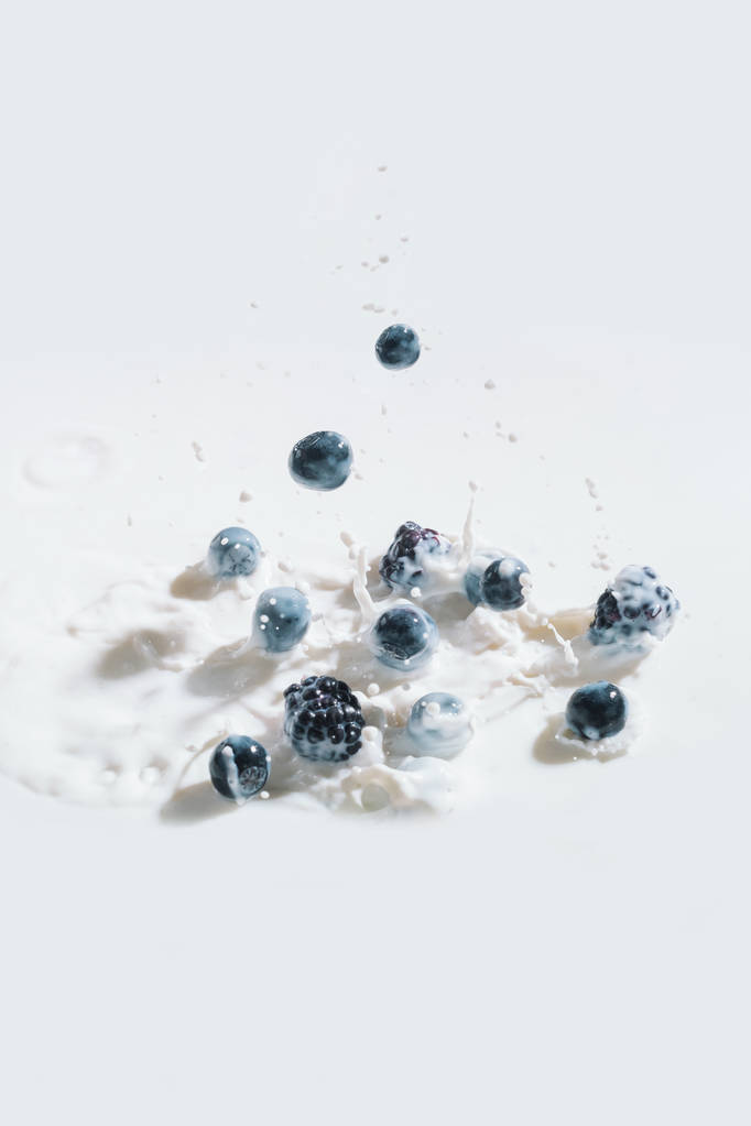 Чорниця і чорниця, що падають у молоко з краплями на білому тлі
 - Фото, зображення