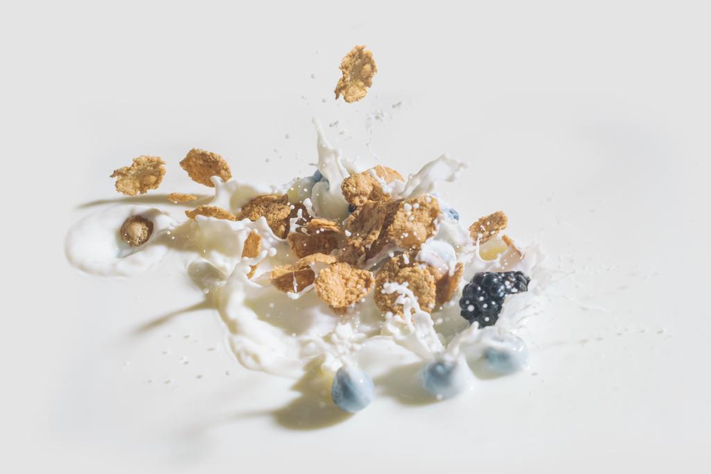 Granen en bessen vallen in melk met druppels op witte achtergrond - Foto, afbeelding