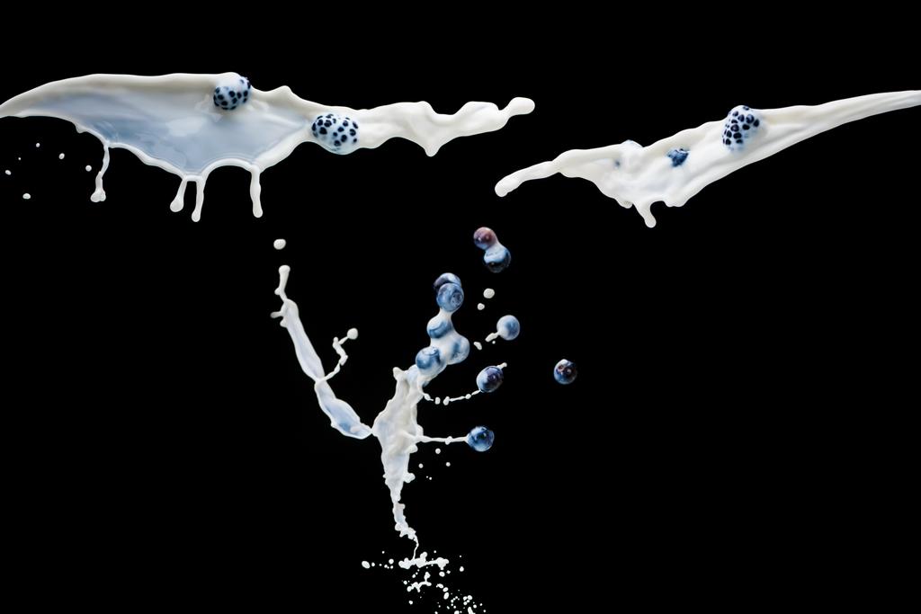 Flying splashes of milk and juicy berries on black background - Photo, Image