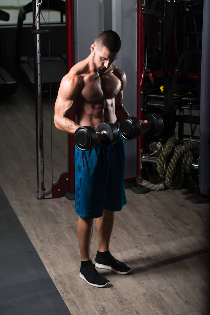 Biceps exercice avec haltères dans une salle de gym
 - Photo, image