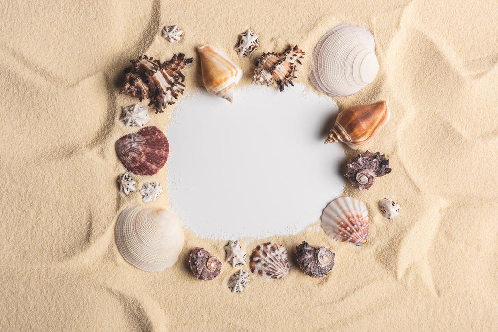 Frame of various seashells on light sand - Photo, Image
