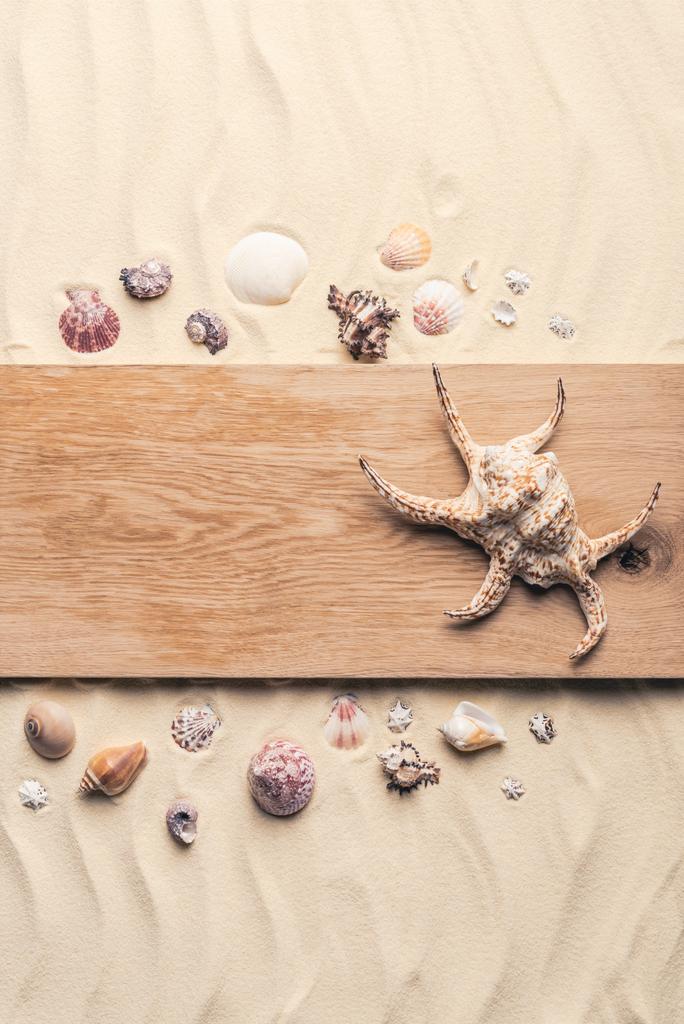 Large seashell on wooden pier on sandy beach  - Photo, Image