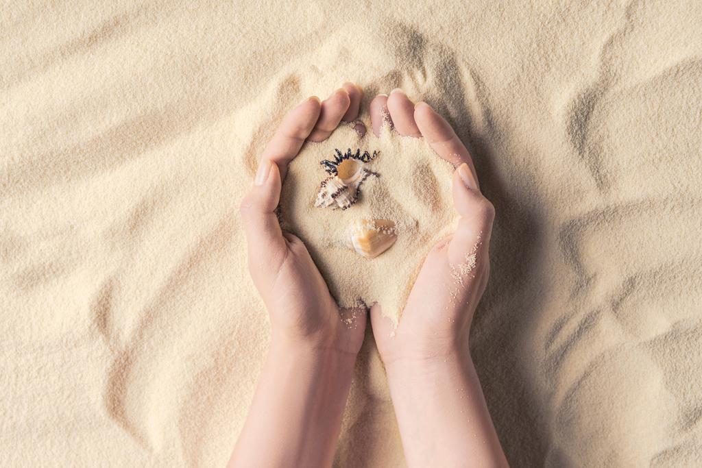 Hafif kum üzerinde deniz kabukları ile eller - Fotoğraf, Görsel