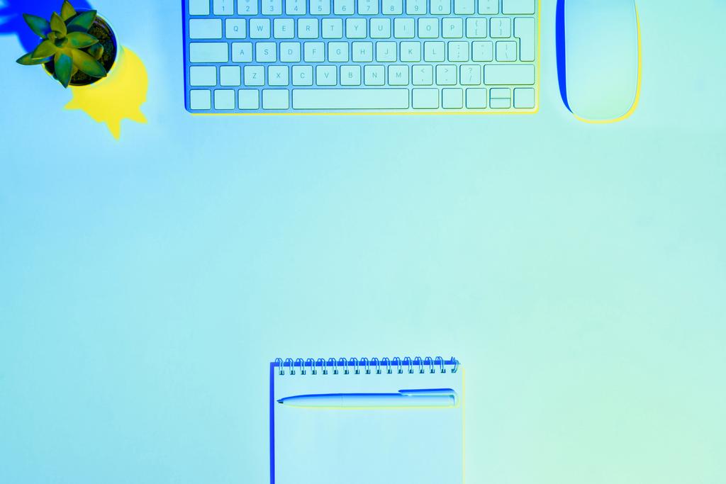 blau getöntes Bild der Pflanze, Computertastatur und -maus, Stift und leeres Lehrbuch  - Foto, Bild