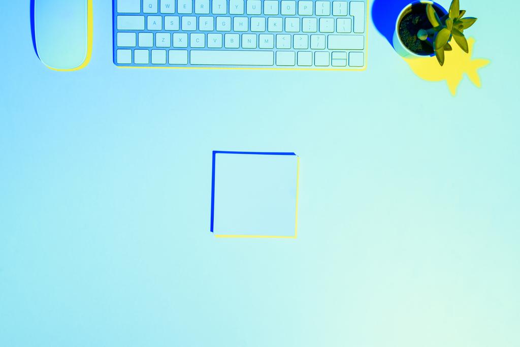 blue toned picture of computer keyboard and mouse, plant ant sticky note  - Photo, Image