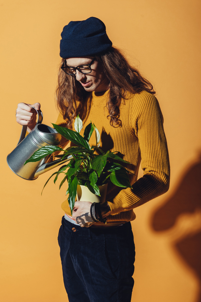 стильный мужчина с длинными волосами поливая зеленое растение, на желтом
 - Фото, изображение