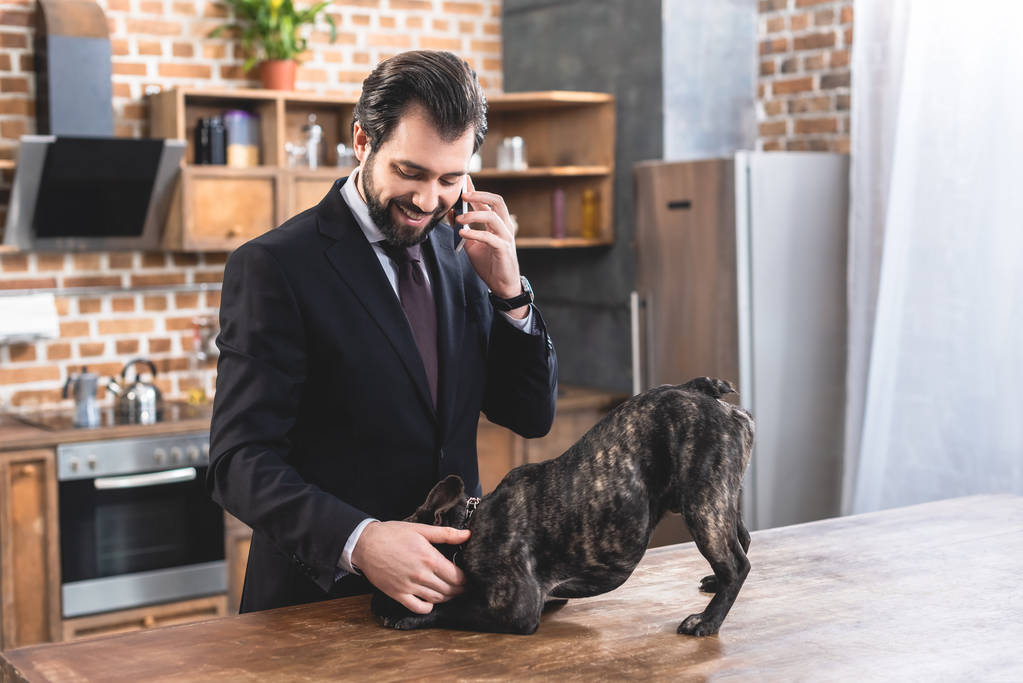 komea yksinäinen liikemies puhuu älypuhelimella ja palming bulldog keittiössä
 - Valokuva, kuva
