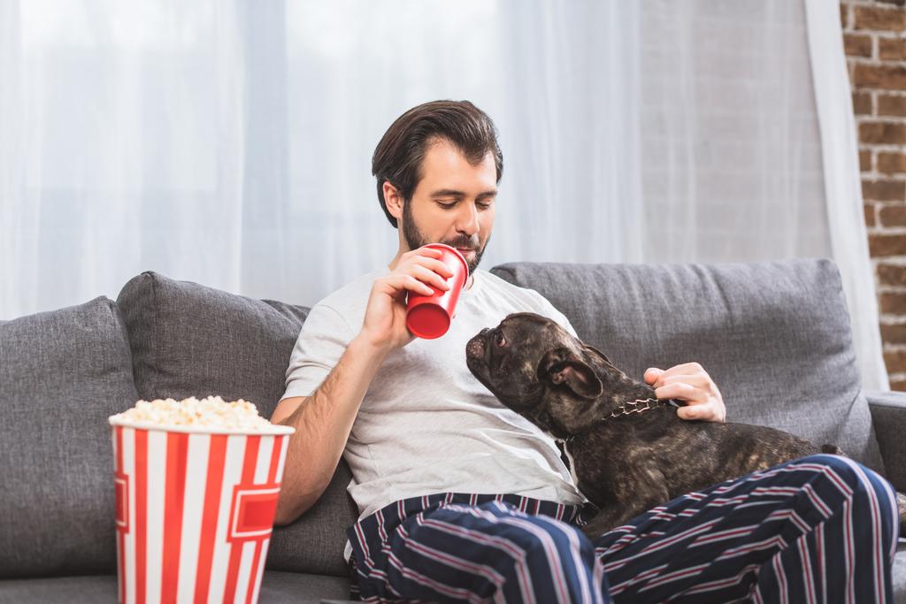 guapo solitario palming perro y bebida en sofá en sala de estar
  - Foto, imagen