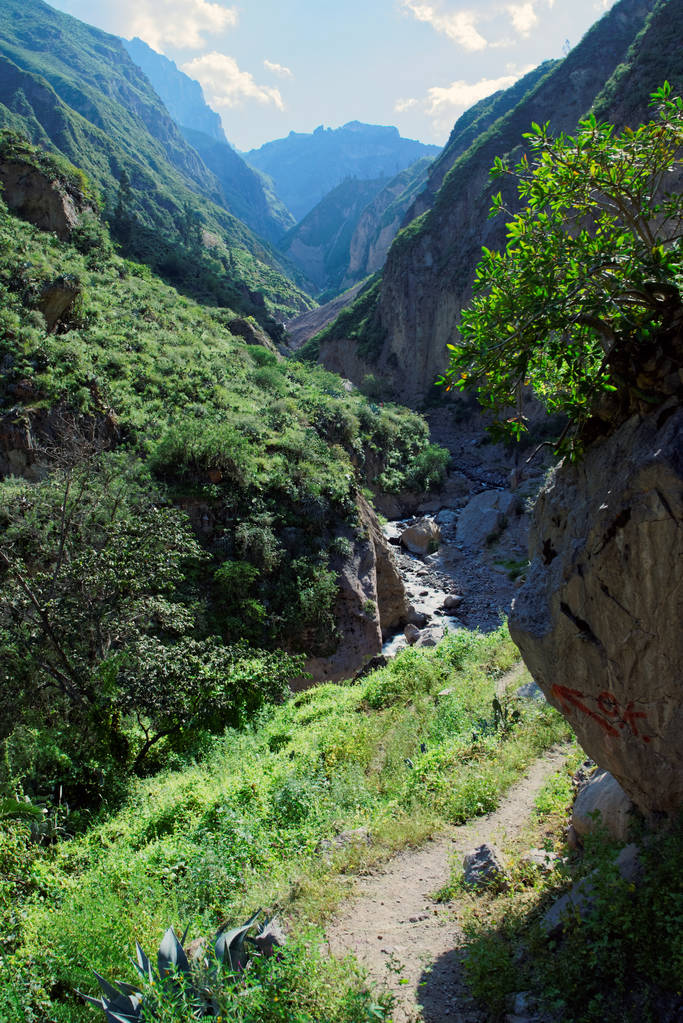 Colca Canyon v regionu Arequipa - Fotografie, Obrázek