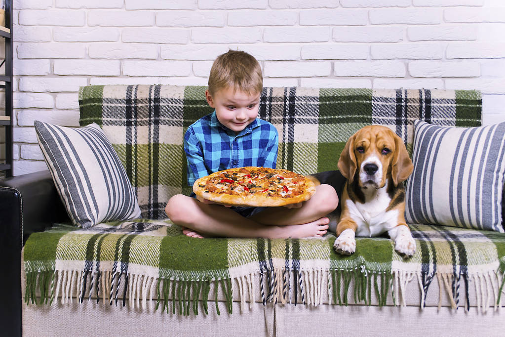 engraçado menino e cão beagle comer pizza no sofá na sala
 - Foto, Imagem