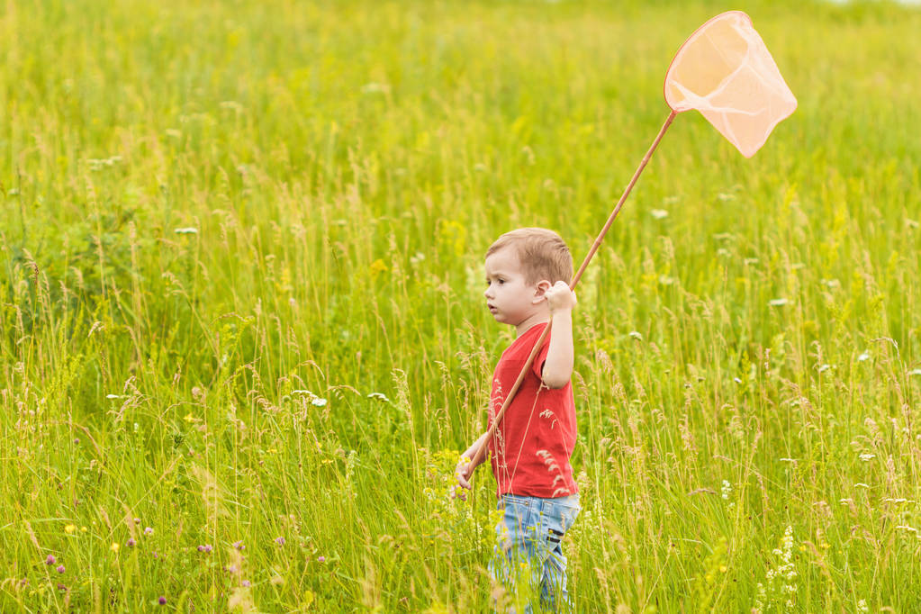 Little boy with a butterfly net on a summer meadow - Photo, Image