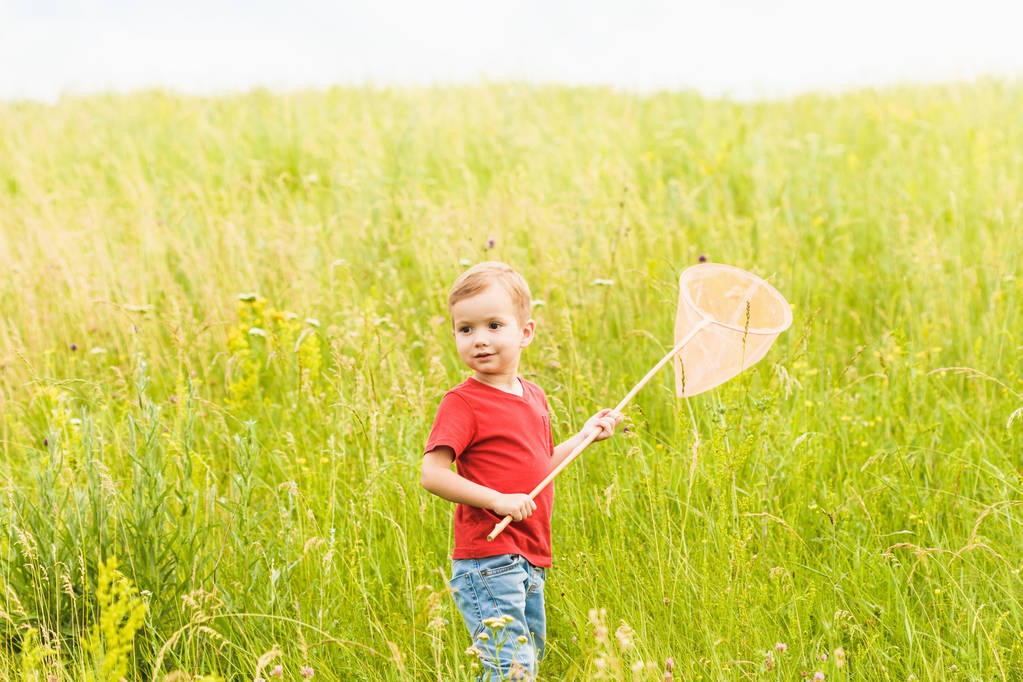Niño pequeño con una red de mariposas en un prado de verano
 - Foto, Imagen