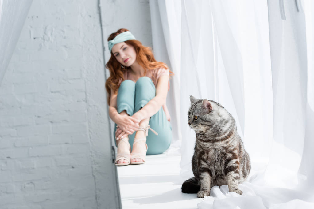 hermosa joven sentada en el alféizar de la ventana con gato tabby en primer plano
 - Foto, imagen