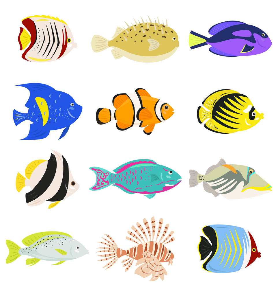 Conjunto de lindos peces tropicales sobre fondo blanco. Ilustración vectorial
. - Vector, Imagen