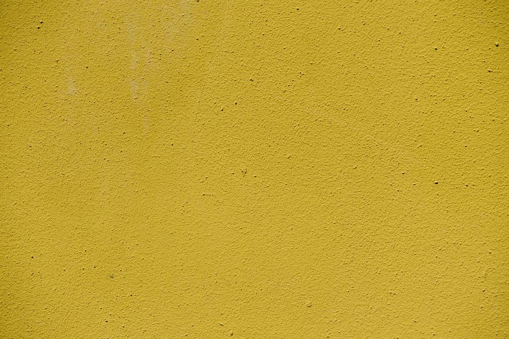 teljes méretű kép a háttér sárga fal  - Fotó, kép
