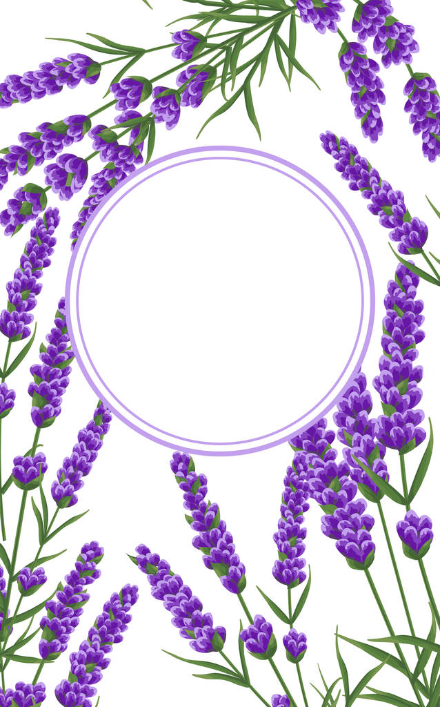 фон фіолетових квітів лаванди, квіти акварельного стилю. елегантні квіти. векторний фон
 - Вектор, зображення