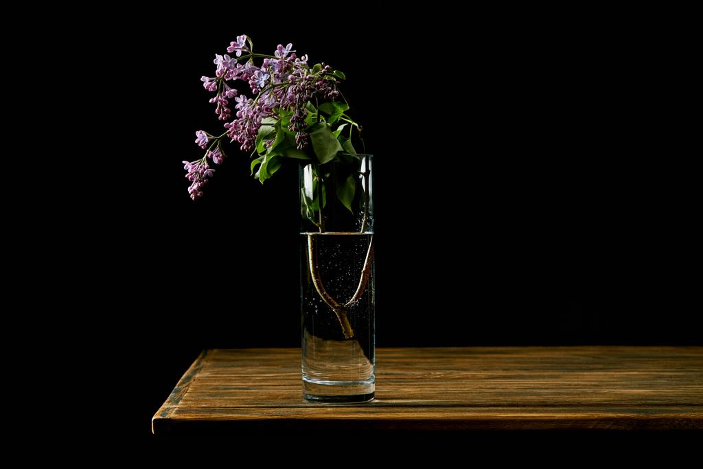 close-up shot of branch of lilac flowers in glass on wooden table isolated on black - Photo, Image