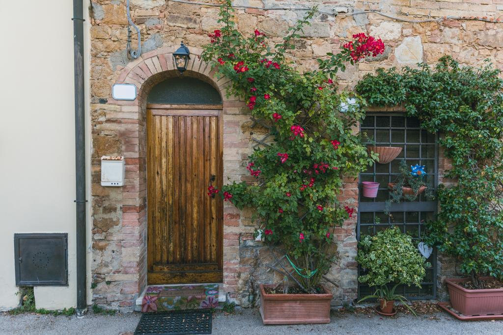 urban scene with building with wooden door and green plants with flowers on it, Tuscany, Italy - Photo, Image
