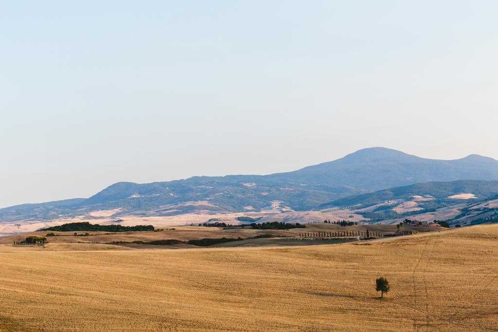 Tuscany - Photo, Image