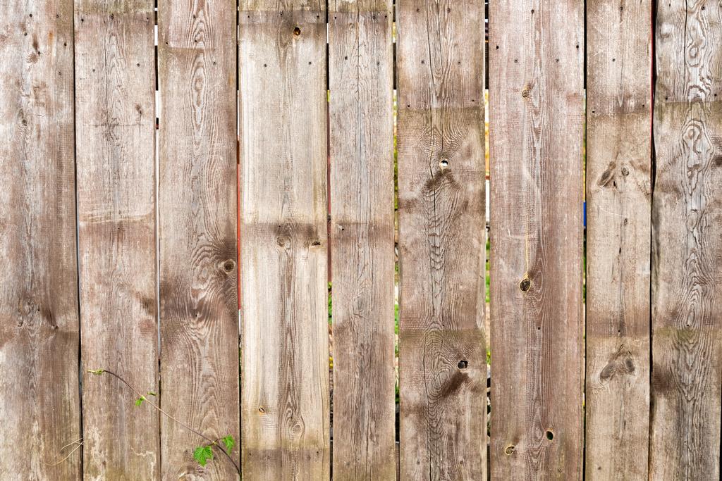 brown wooden fence background with green leaves - Photo, Image
