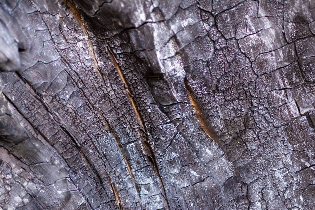 Detailní pohled staré spálené dřevěné pozadí. - Fotografie, Obrázek