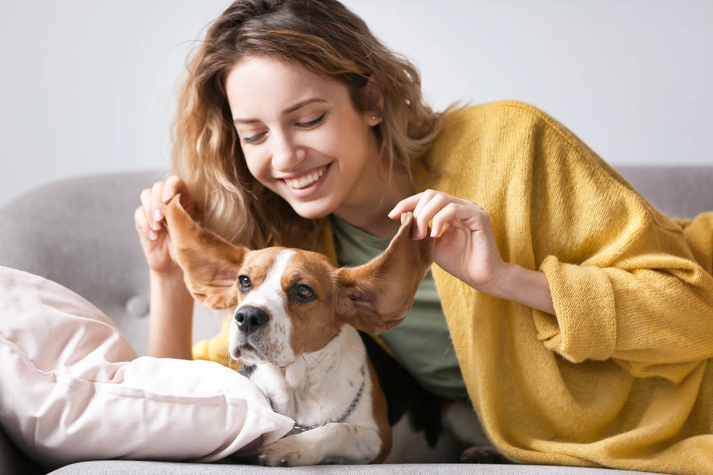 Giovane donna con il suo cane appoggiato sul divano di casa
 - Foto, immagini