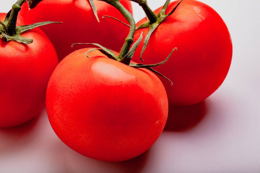 Tomates húmedos y jugosos en la vid
 - Foto, imagen