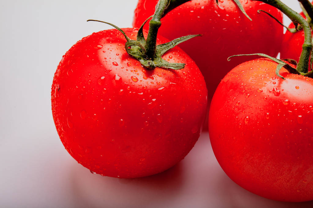 Tomates juteuses humides sur la vigne
 - Photo, image
