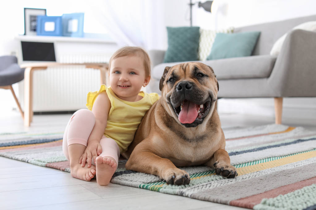 Słodkie małe dziecko z psem w domu - Zdjęcie, obraz
