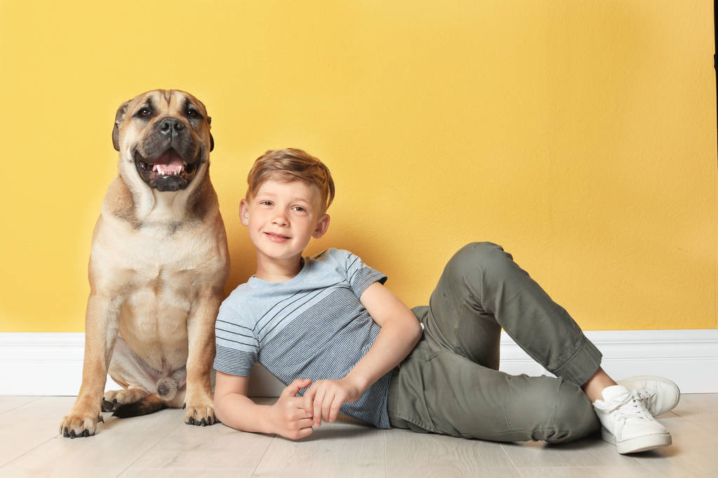 Χαριτωμένο μικρό παιδί με το σκύλο του κοντά σε χρώμα τοίχου - Φωτογραφία, εικόνα