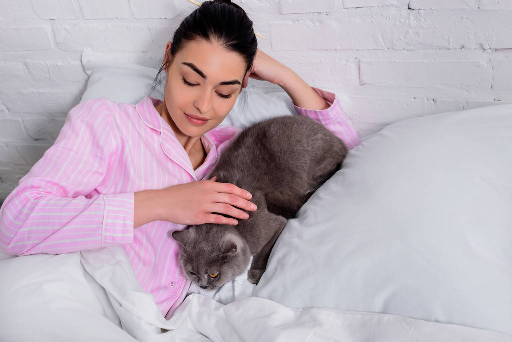 portrait of woman petting britain shorthair cat while resting in bed at home - Photo, Image