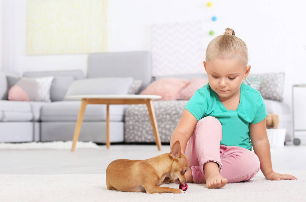 Маленька дівчинка з милим собакою вдома
 - Фото, зображення