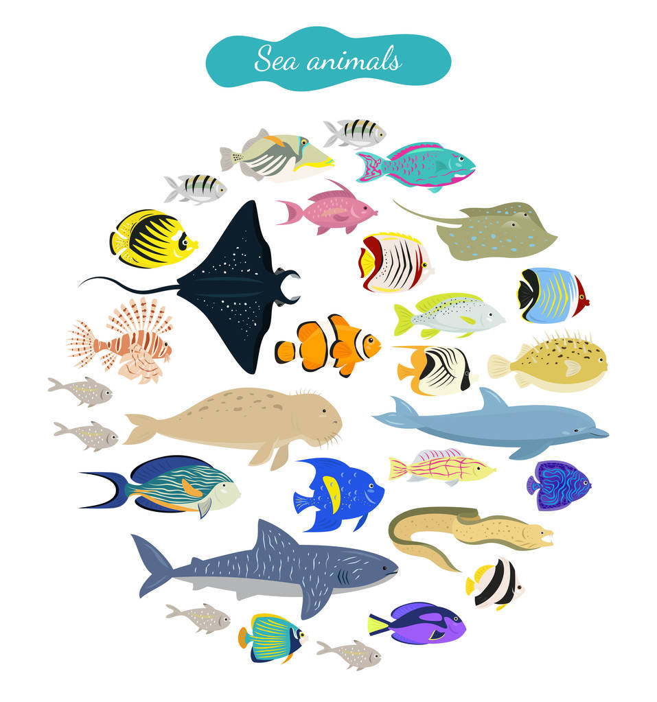 Set di animali marini dei cartoni animati su sfondo bianco. Illustrazione vettoriale
. - Vettoriali, immagini