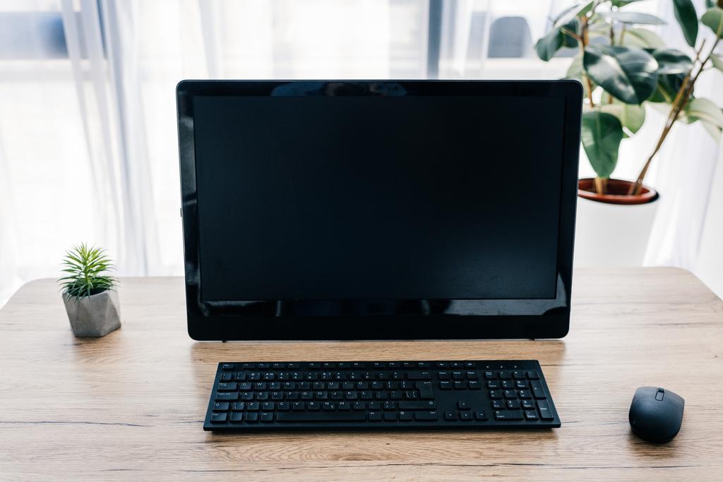 front view of blank computer monitor, potted plant and computer mouse and keyboard on wooden table  - Photo, Image