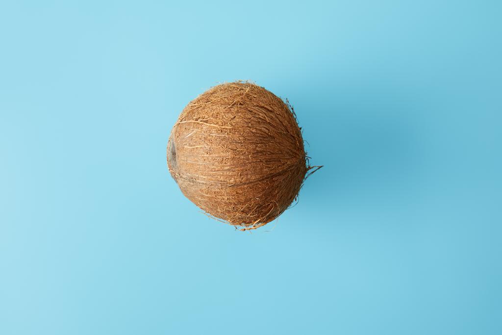 青に分離された新鮮なココナッツの平面図 - 写真・画像
