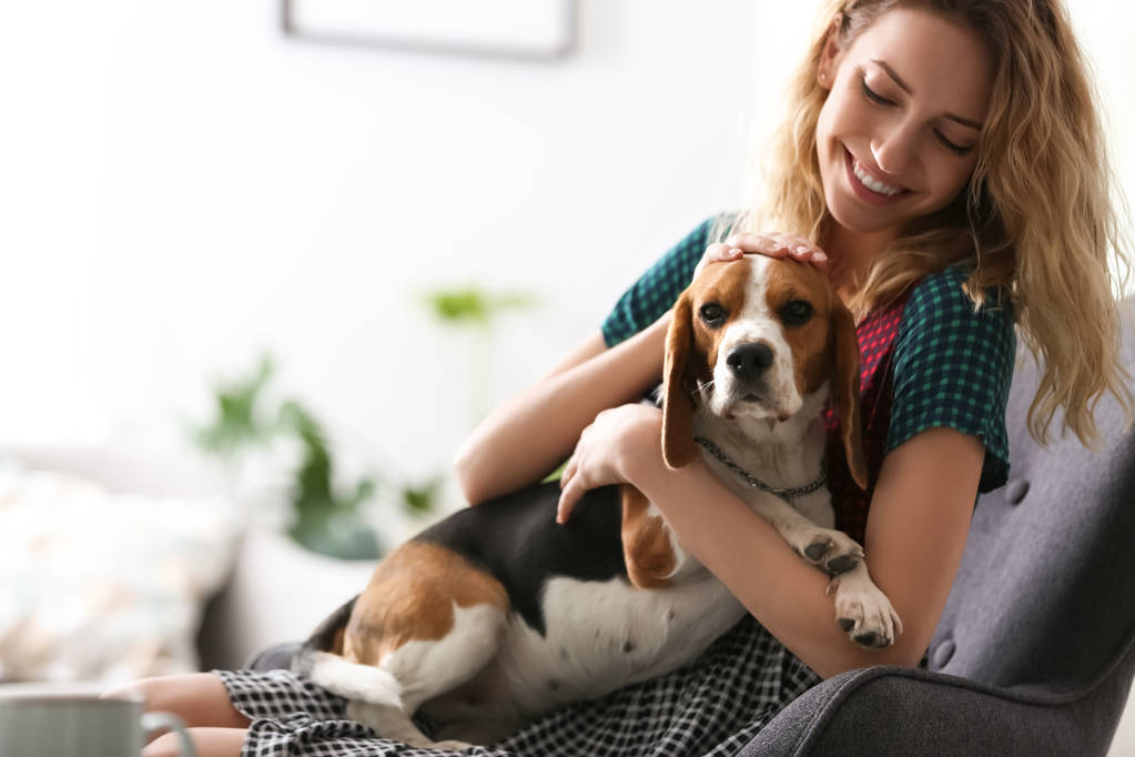 Giovane donna con il suo cane seduto in poltrona a casa
 - Foto, immagini