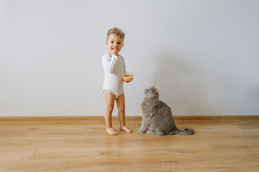 menino pequeno em terno branco com biscoitos e gato cinza em casa
 - Foto, Imagem