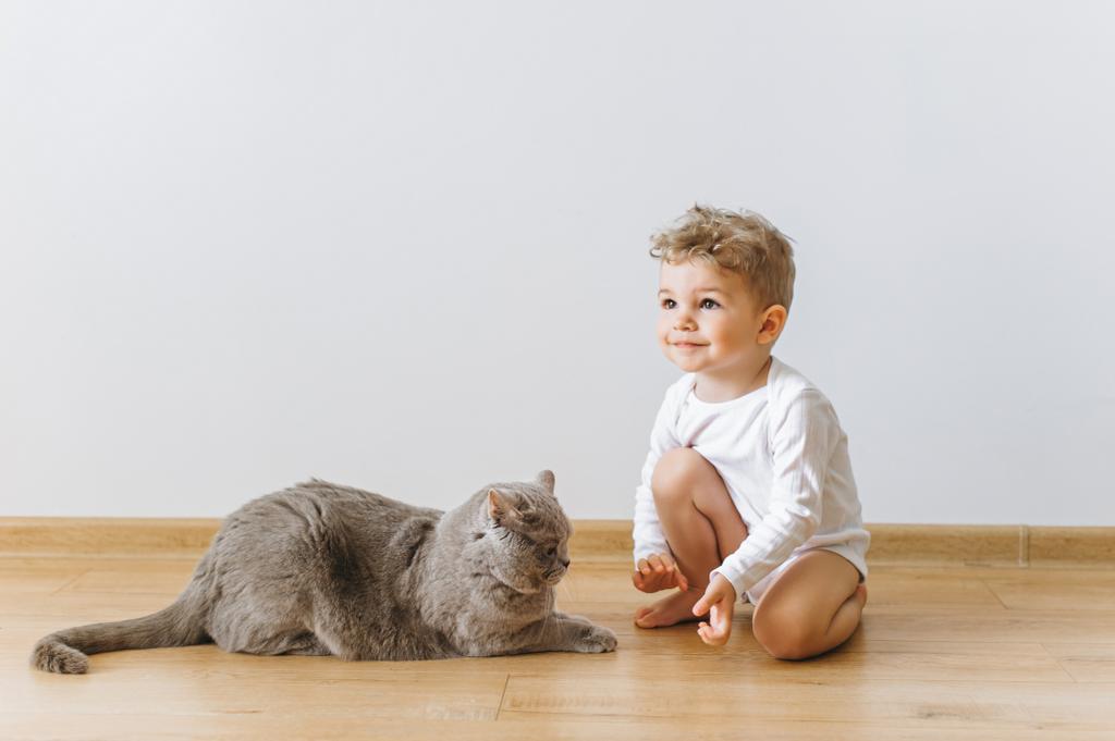 mignon petit enfant en body blanc et gris britannique chat à poil court reposant sur le sol à la maison
 - Photo, image