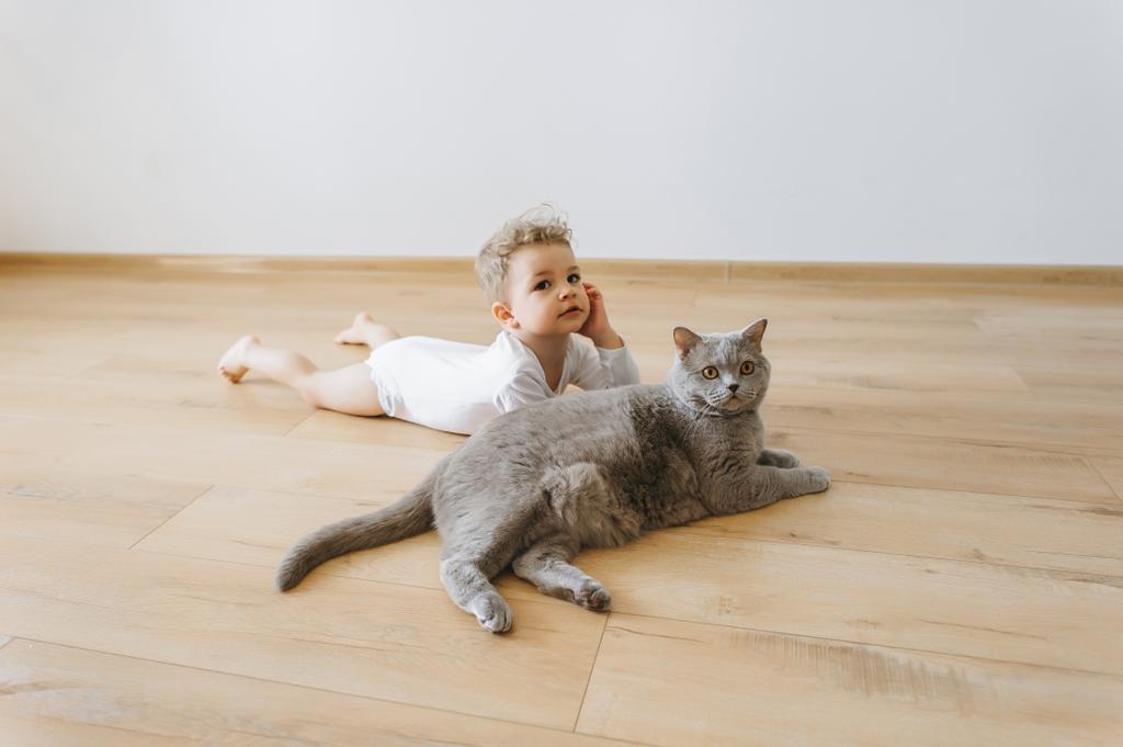 adorável criança menino e cinza britânico shorthair gato deitado no chão juntos em casa
 - Foto, Imagem