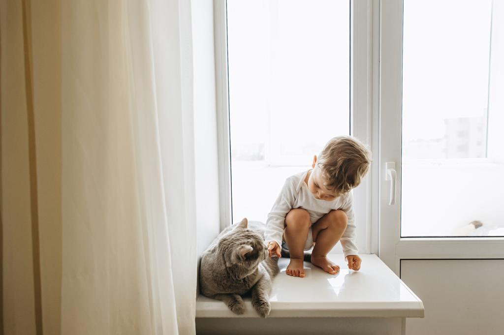 lindo niño pequeño con gris británico taquigrafía gato sentado en windowsill en casa
 - Foto, imagen