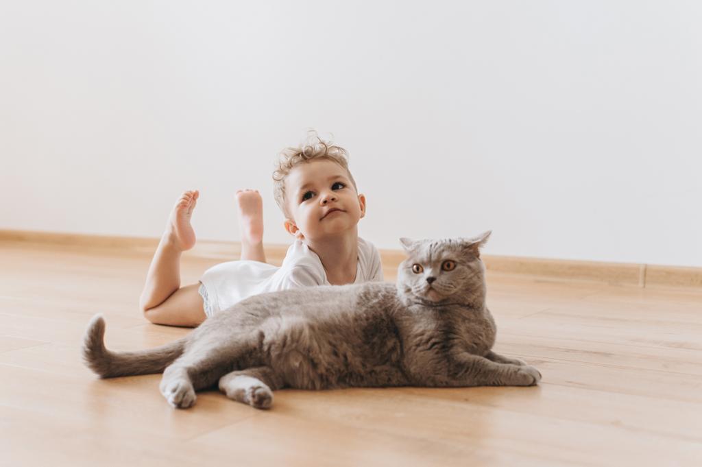 imádnivaló baba fiú és szürke brit Rövidszőrű macska feküdt a padlón együtt otthon - Fotó, kép